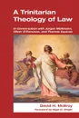 Trinitarian Theology of Law. In Conversation with Jurgen Moltmann, Oliver O'Donovan and Thomas Aquinas - David H McLlroy