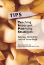 Teaching Important Parenting Strategies. Raising a Child with Limited Verbal Skills - Megan Ahlers, Colleen Zillich