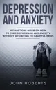 Depression and Anxiety. A Practical Guide on How to Cure Depression and Anxiety Without Resorting to Harmful Meds - John Roberts