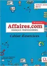 Affaires.com: Niveau avance B2-C1. Cahier d'activites - Penfornis Jean-Luc, Habert Laurent