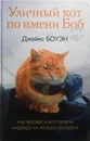 Уличный кот по имени Боб - Джеймс Боуэн