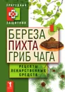 Береза, пихта и гриб чага. Рецепты лекарственных средств - Ю. Н. Николаева