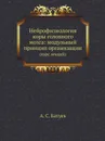 Нейрофизиология коры головного мозга: модульный принцип организации. (курс лекций) - А. С. Батуев