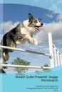 Border Collie Presents. Doggy Wordsearch  The Border Collie Brings You A Doggy Wordsearch That You Will Love! Vol. 2 - Doggy Puzzles