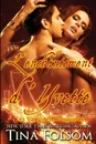 L'enchantement d'Yvette - Tina Folsom