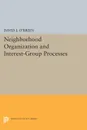 Neighborhood Organization and Interest-Group Processes - David J. O'Brien