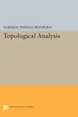 Topological Analysis - Gordon Thomas Whyburn