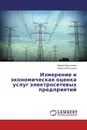 Измерение и экономическая оценка услуг электросетевых предприятий - Марина Васильева, Викентий Китушин