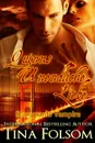 Quinns Unendliche Liebe (Scanguards Vampire - Buch 6) - Tina Folsom