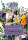 Грозовой перевал - Эмили Бронте