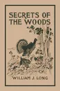 Secrets of the Woods - William J Long