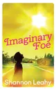 Imaginary Foe - Shannon Leahy