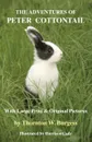 The Adventures of Peter Cottontail. With Large Print and Original Pictures - Thornton W. Burgess