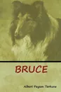 Bruce - Albert Payson Terhune