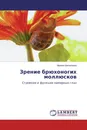 Зрение брюхоногих моллюсков - Ирина Шепелева