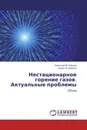 Нестационарное горение газов. Актуальные проблемы - Николай М. Рубцов, Идея М. Набоко