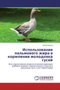 Использование пальмового жира в кормлении молодняка гусей - Артём Власов