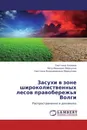 Засухи в зоне широколиственных лесов правобережья Волги - Светлана Хлевина,Петр Иванович Меркулов, Светлана Владимировна Меркулова