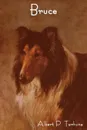 Bruce - Albert Payson Terhune