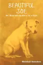 Beautiful Joe - Marshall Saunders