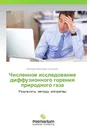 Численное исследование диффузионного горения природного газа - Валерий Алексеевич Кузнецов