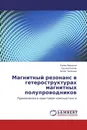 Магнитный резонанс в гетероструктурах магнитных полупроводников - Роман Моргунов,Оксана Коплак, Артём Таланцев