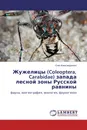 Жужелицы (Coleoptera, Carabidae) запада лесной зоны Русской равнины - Олег Александрович