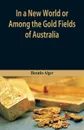 In A New World or, Among The Gold Fields Of Australia - Horatio Alger