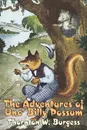 The Adventures of Unc' Billy Possum by Thornton Burgess, Fiction, Animals, Fantasy & Magic - Thornton W. Burgess