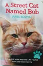 A Street Cat Named Bob. How One Man and His Cat Found Hope on the Streets - Bowen James