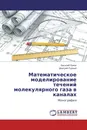 Математическое моделирование течений молекулярного газа в каналах - Василий Попов, Дмитрий Рудный