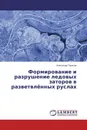 Формирование и разрушение ледовых заторов в разветвлённых руслах - Александр Тарасов