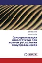 Самоорганизация наноструктур при ионном распылении полупроводников - Александр Рудый,Алена Метлицкая, Анатолий Куликов