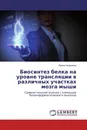 Биосинтез белка на уровне трансляции в различных участках мозга мыши - Ирина Челышева