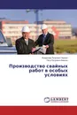 Производство свайных работ в особых условиях - Владимир Петрович Чернюк, Петр Петрович Ивасюк