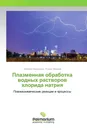 Плазменная обработка водных растворов хлорида натрия - Николай Николенко, Роман Захаров