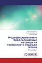 Модифицированные боросиликатные матрицы на поверхности гидрида титана - Вячеслав Павленко,Роман Ястребинский, Ольга Куприева