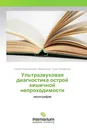 Ультразвуковая диагностика острой кишечной непроходимости - Сергей Владимирович Михайлусов, Ринат Мударисов