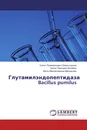 Глутамилэндопептидаза Bacillus pumilus - Талгат Рахимзянович Шамсутдинов,Нэлли Павловна Балабан, Айслу Миркасимовна Марданова