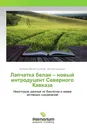 Лапчатка белая - новый интродуцент Северного Кавказа - Валерий Мелик-Гусейнов, Фатима Шериева