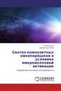 Синтез композитных нанопорошков в условиях микроволновой активации - Яна Шишлова, Дмитрий Хрусталёв