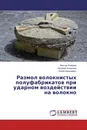 Размол волокнистых полуфабрикатов при ударном воздействии на волокно - Виктор Кожухов,Наталия Кожухова, Юрий Алашкевич