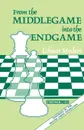 From Middlegame to Endgame - Edmar Mednis