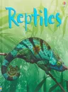 Reptiles - Catriona Clarke