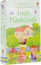 Usborne Everyday Words: Irish Flashcards - Felicity Brooks
