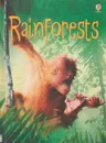 Rainforest - Catriona Clarke