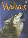 Wolves - James Maclaine