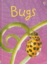 Bugs - Lucy Bowman