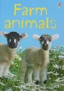 Farm Animals - Katie Daynes