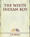 The White Indian Boy - 1919 - Wilson E. N. Wilson, E. N. Wilson